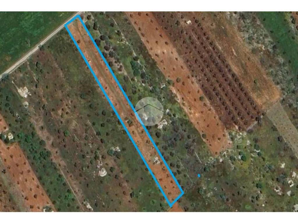 terreno agricolo in vendita a Galatina