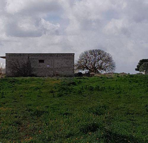 terreno agricolo in vendita a Galatina