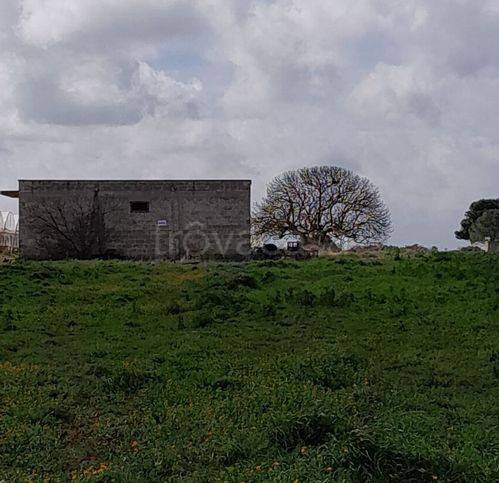terreno agricolo in vendita a Galatina