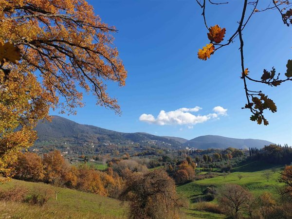 terreno agricolo in vendita a Galatina