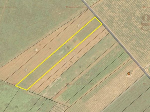 terreno agricolo in vendita a Galatina