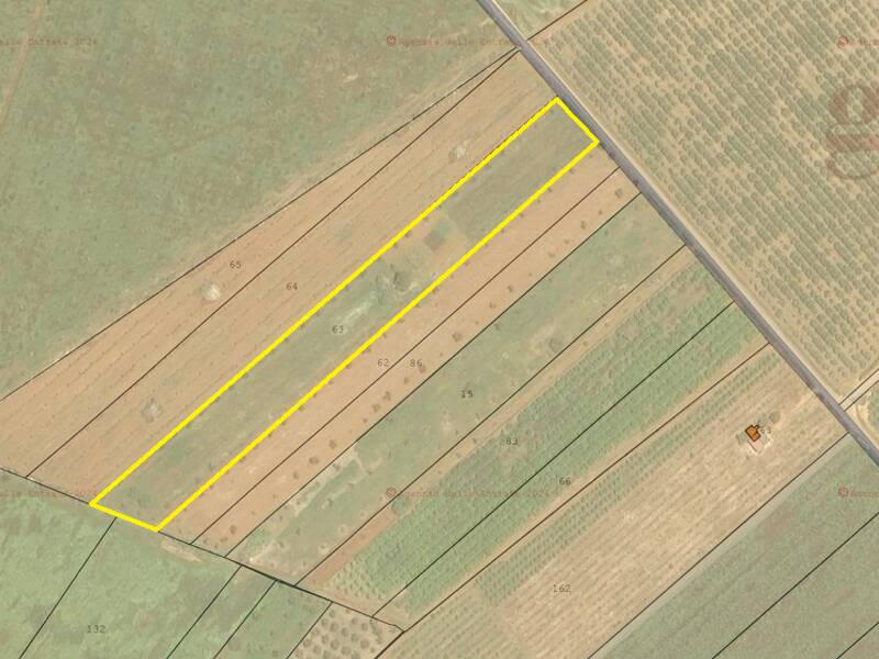 terreno agricolo in vendita a Galatina
