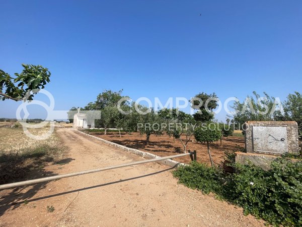 quadrivano in vendita a Galatina