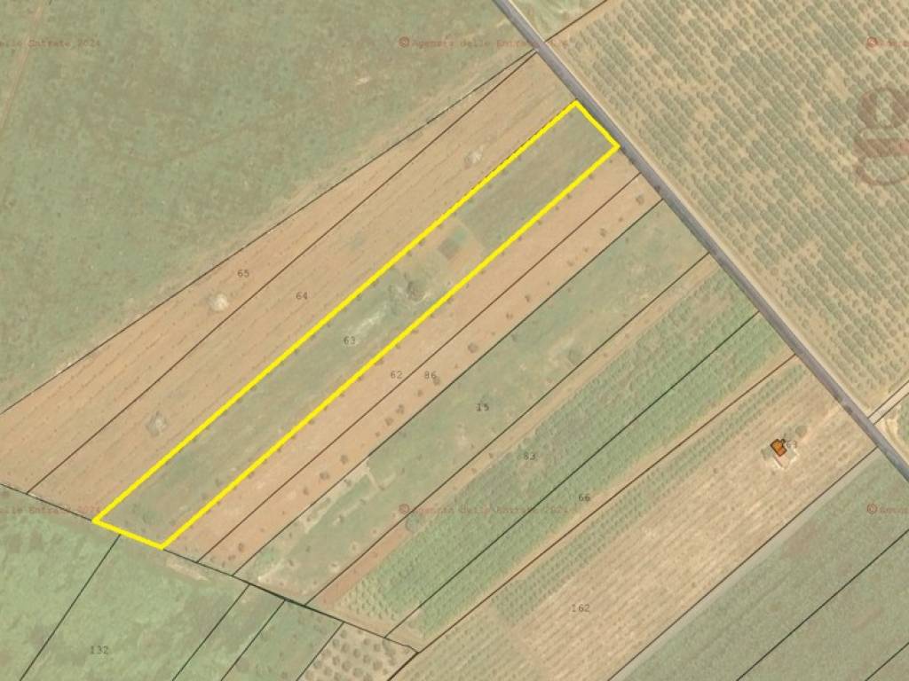 terreno agricolo in vendita a Galatina