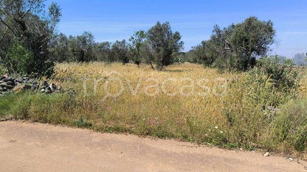 terreno agricolo in vendita a Galatina