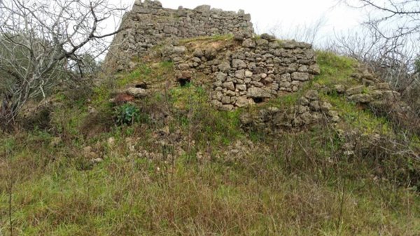 terreno agricolo in vendita a Galatina
