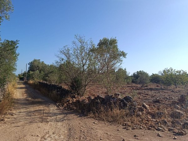 terreno in vendita a Galatina in zona Santa Barbara