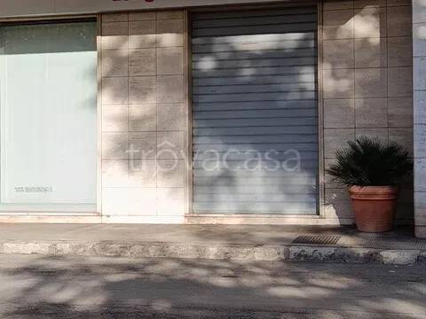 negozio in vendita a Galatina