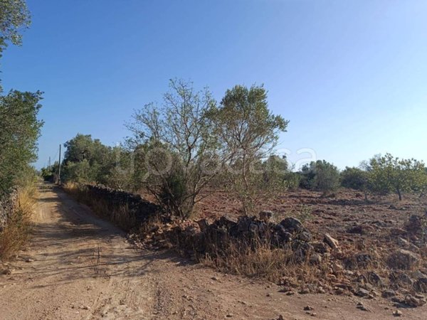 terreno in vendita a Galatina