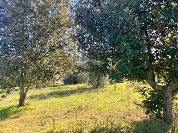 terreno in vendita a Galatina in zona Santa Barbara