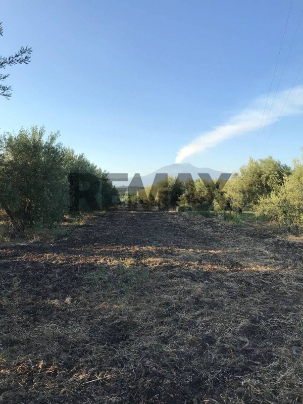 terreno in vendita a Galatina in zona Santa Barbara