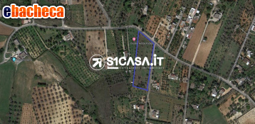 terreno agricolo in vendita a Galatone