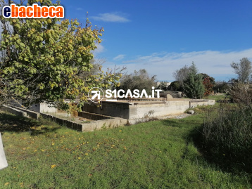 terreno agricolo in vendita a Galatone