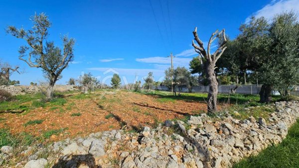 terreno agricolo in vendita a Galatone