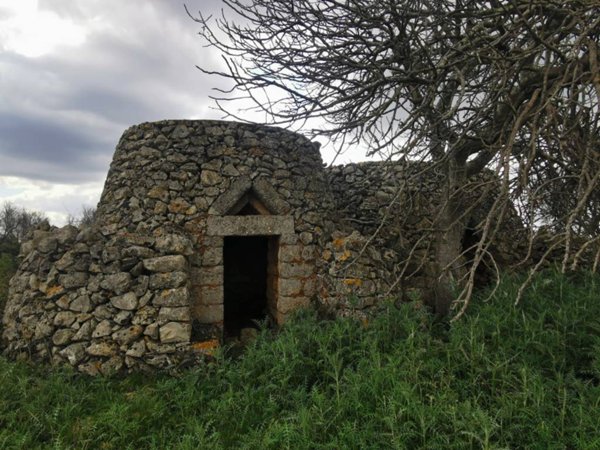 terreno agricolo in vendita a Galatone