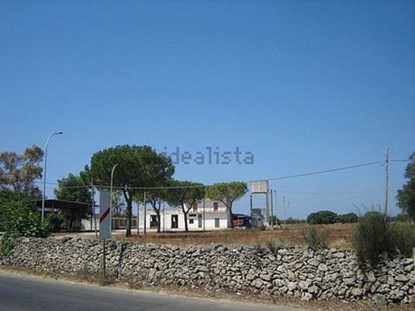 terreno agricolo in vendita a Galatone