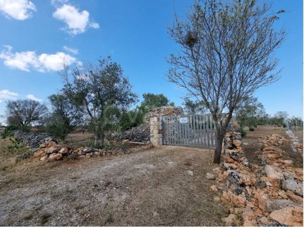 terreno agricolo in vendita a Galatone