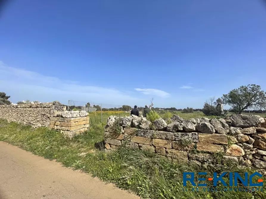 terreno agricolo in vendita a Galatone