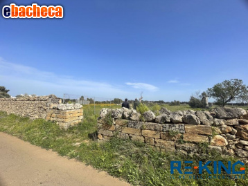 terreno agricolo in vendita a Galatone