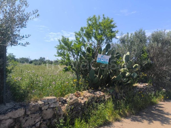 terreno agricolo in vendita a Galatone