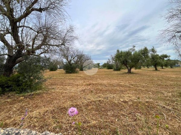 terreno agricolo in vendita a Galatone