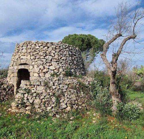 terreno agricolo in vendita a Galatone