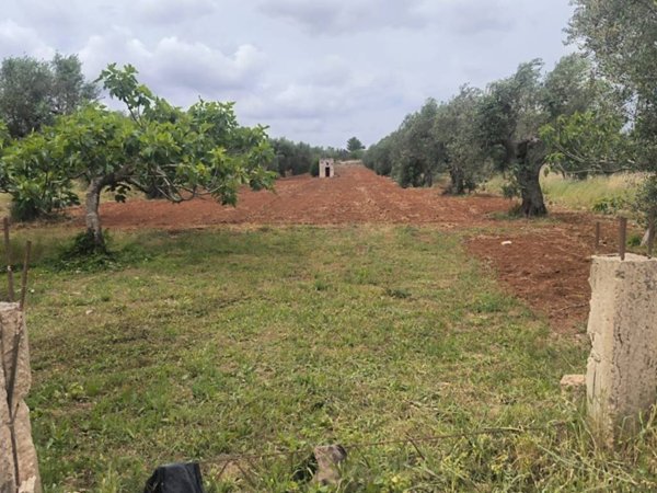 terreno agricolo in vendita a Galatone