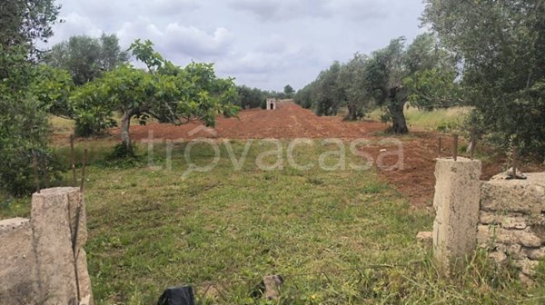 terreno agricolo in vendita a Galatone