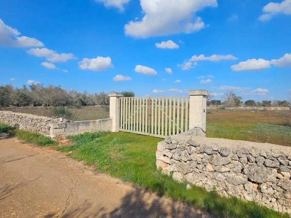 terreno agricolo in vendita a Galatone