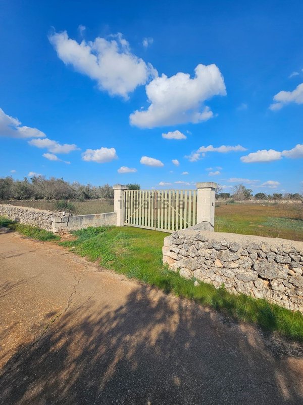 terreno agricolo in vendita a Galatone