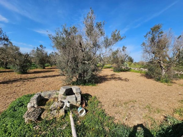 terreno agricolo in vendita a Galatone