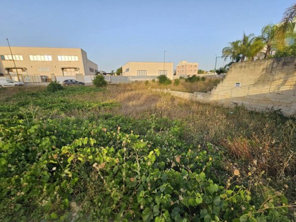 terreno agricolo in vendita a Galatone