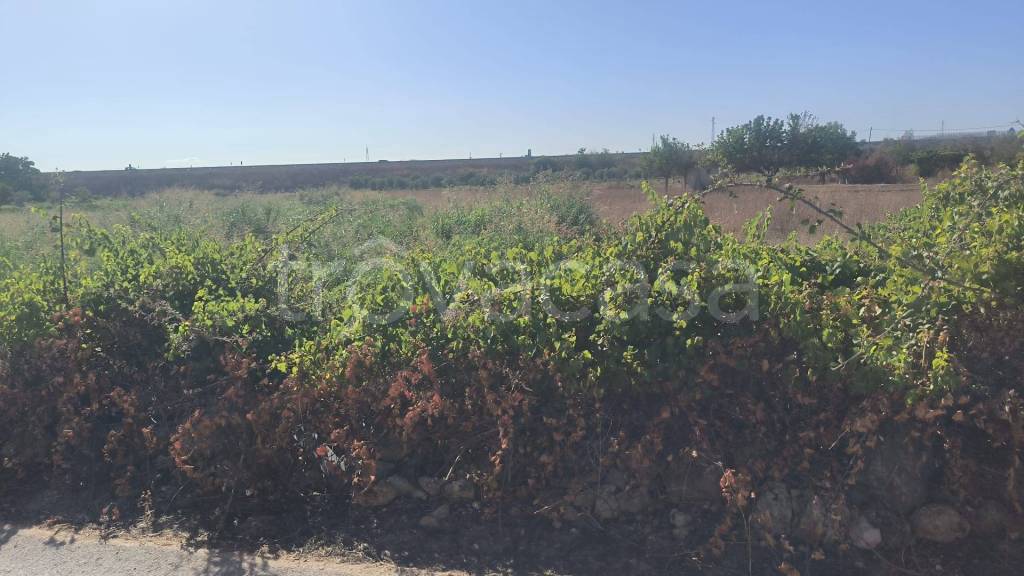 terreno agricolo in vendita a Galatone