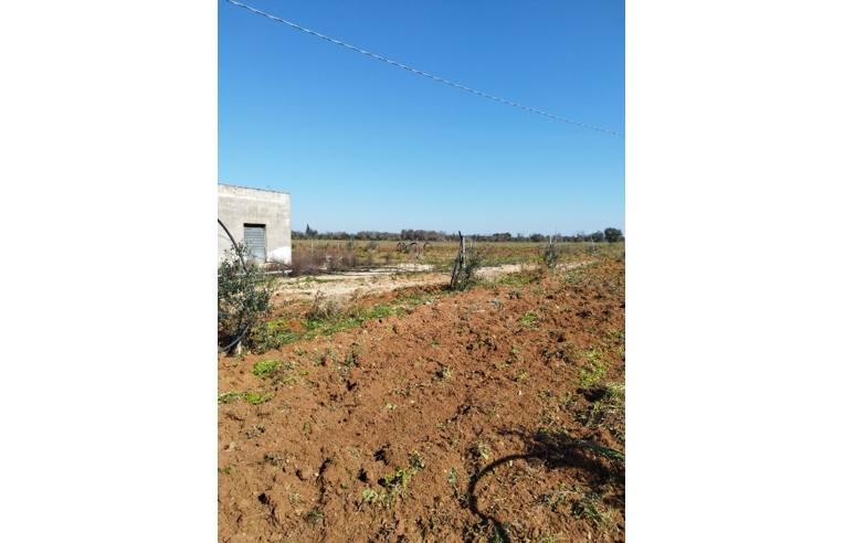 terreno agricolo in vendita a Galatone