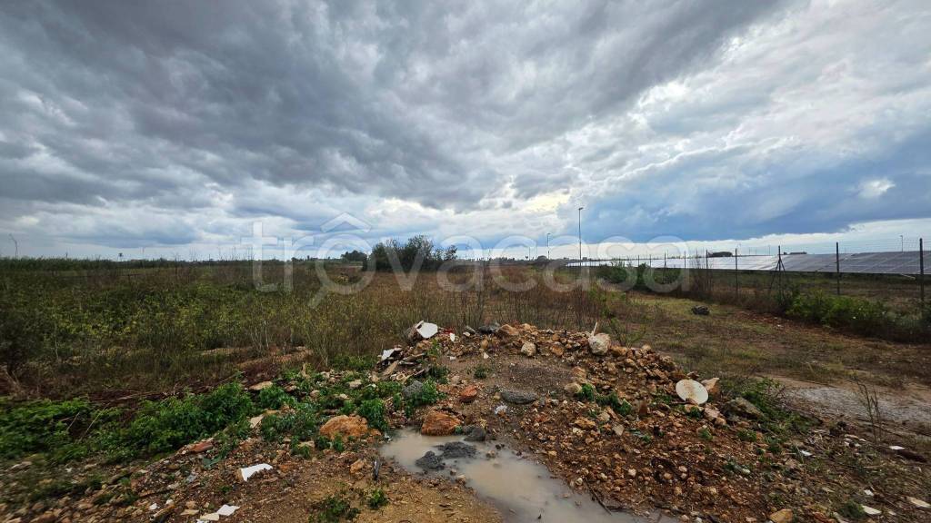 terreno agricolo in vendita a Galatone