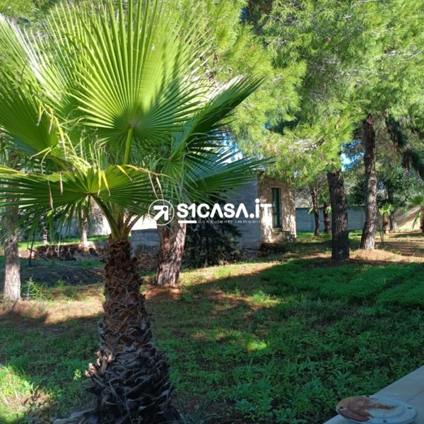 terreno agricolo in vendita a Galatone