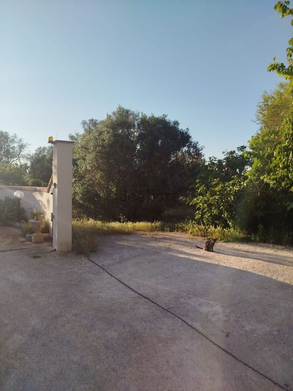 terreno edificabile in vendita a Galatone