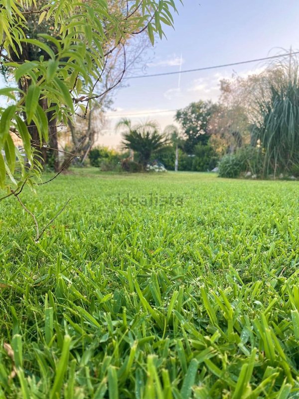 quadrivano in vendita a Galatone