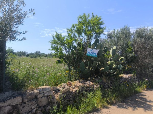 terreno agricolo in vendita a Galatone