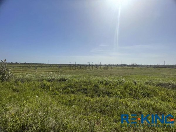 terreno agricolo in vendita a Galatone