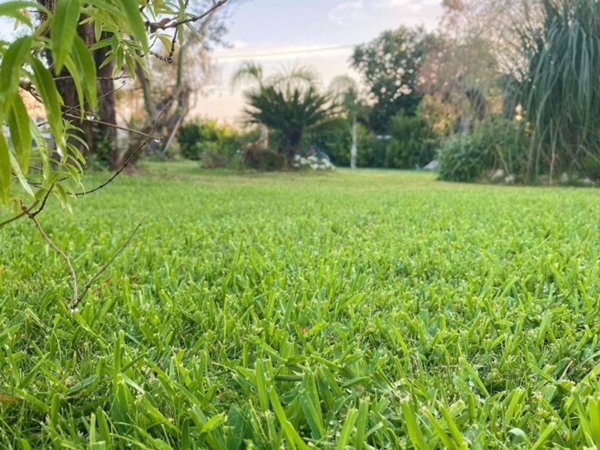 casa indipendente in vendita a Galatone