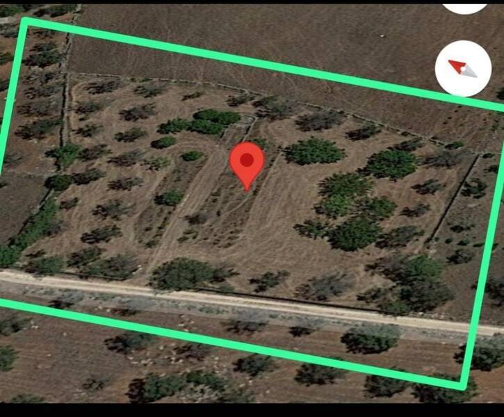 terreno agricolo in vendita a Galatone