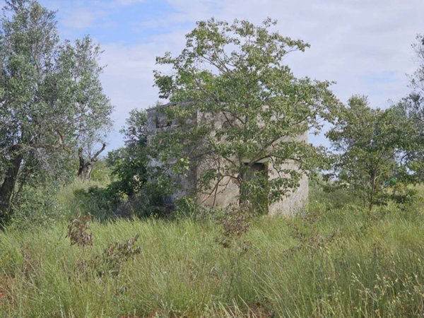 terreno agricolo in vendita a Galatone