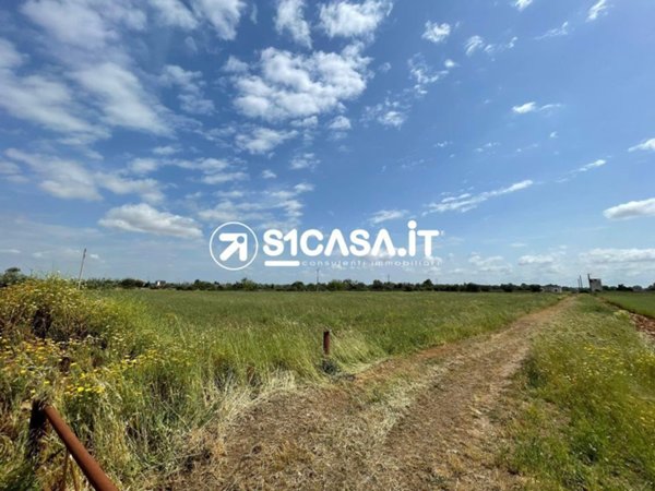 terreno agricolo in vendita a Galatone