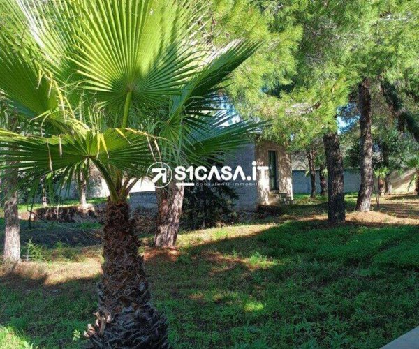 terreno agricolo in vendita a Galatone