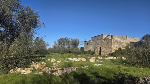 terreno agricolo in vendita a Galatone