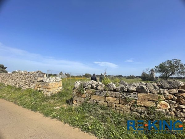 terreno agricolo in vendita a Galatone