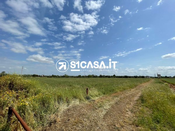terreno agricolo in vendita a Galatone