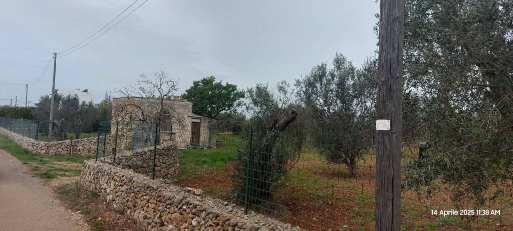 terreno agricolo in vendita a Galatone