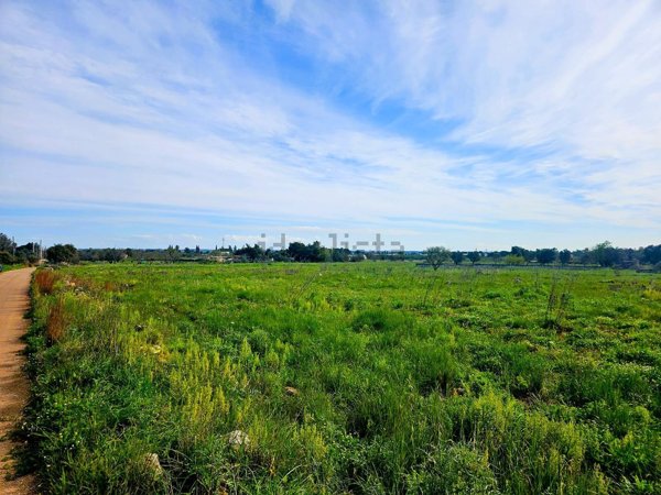 casa indipendente in vendita a Galatone